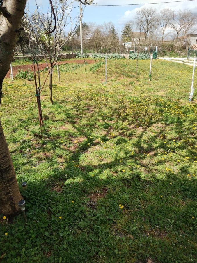 Apartman Enia Murvica  المظهر الخارجي الصورة